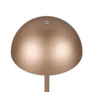 R54891165_2