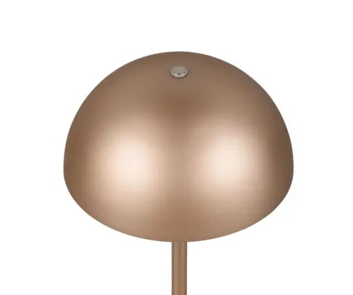 R54891165_2