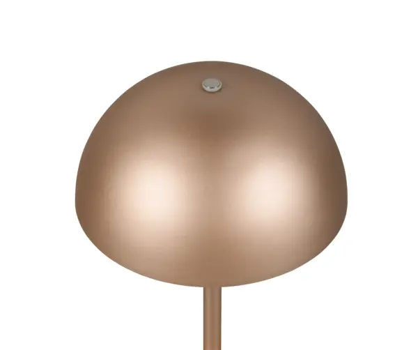 R54891165_2