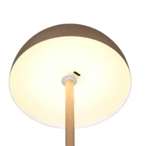 R54891165_3