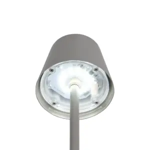 R55961177_4