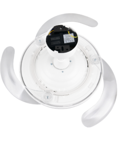 Reality – R64452131