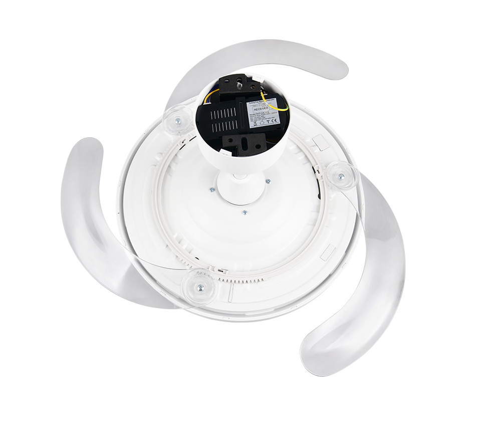 Reality – R64452131