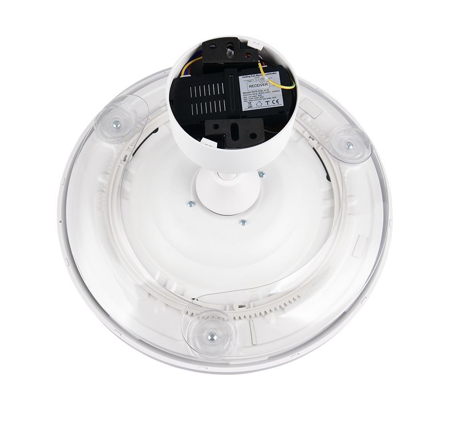 Reality – R64452131