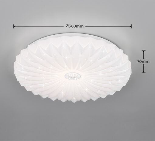 Reality – R64791101