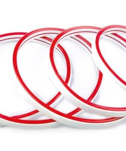 NEON LIGHT LED 5M 8W 24V 6500K IP44 PRO EUROLAMP – 145-73000