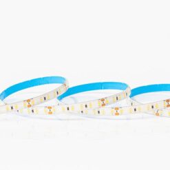 ΤΑΙΝΙΑ LED 5M 12W 12V 6500K 120L/M IP54 PRO EUROLAMP – 145-70320