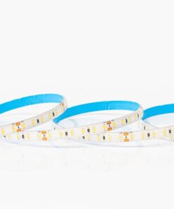 ΤΑΙΝΙΑ LED 5M 12W 12V 6500K 120L/M IP54 PRO EUROLAMP – 145-70320