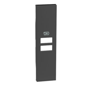 Living Now Πλήκτρο ΠΡ ΦΟΡΤ 2USB 1ΣΤ Μαύρο Legrand – KG13C