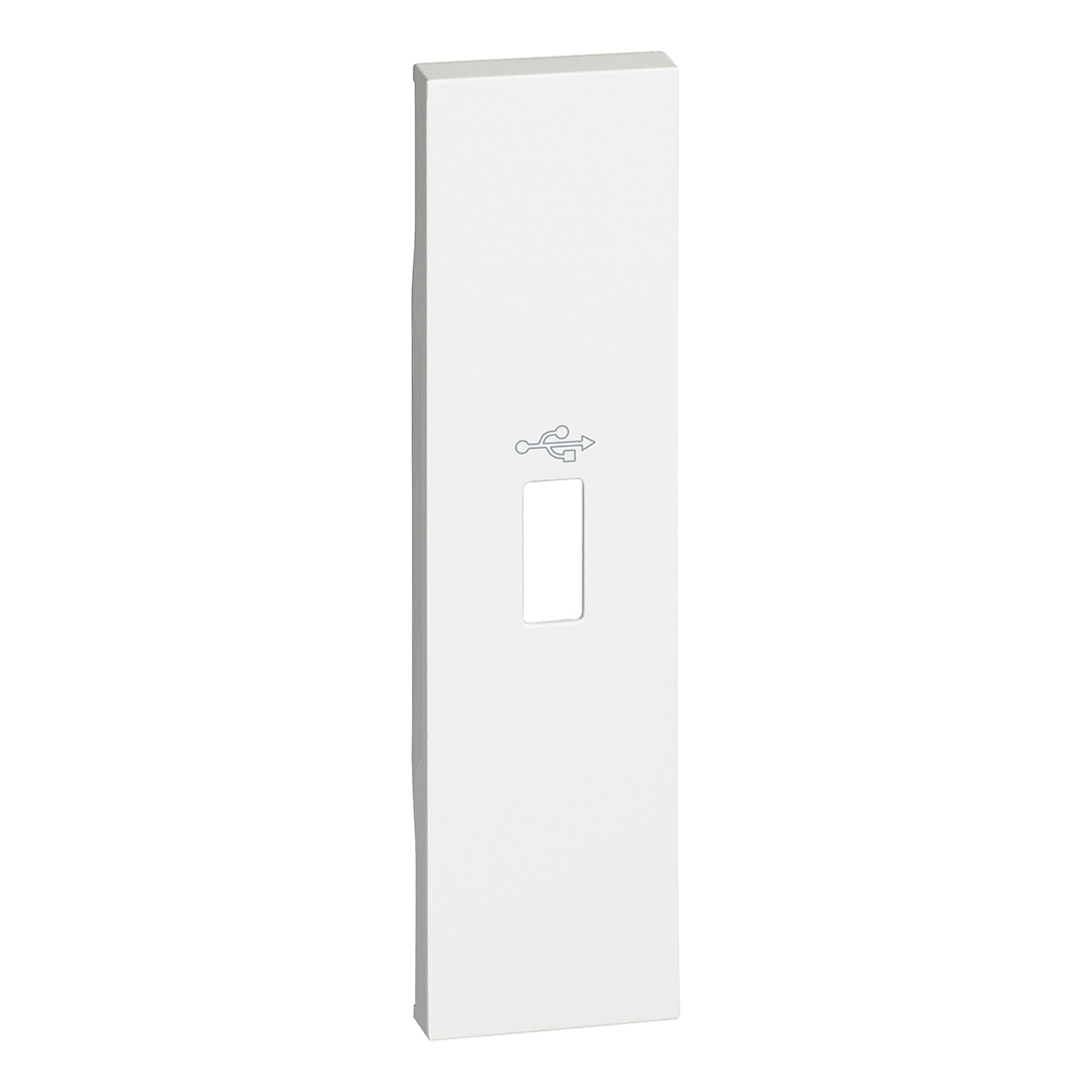 Living Now ΠΛΗΚ ΠΡ USB DATA ΤΥΠ.A 1ΣΤ Λευκό Legrand - KW10P