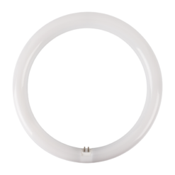 LED Λάμπα Κυκλική G10Q T9 Φ30cm 19W Diolamp 120° 2000lm 6500K – G10Q19CW