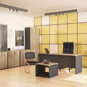 Ντουλάπα γραφείου επαγγελματική Lotus pakoworld χρώμα φυσικό – ανθρακί 80×40,5×200εκ – 069-000020