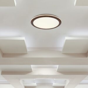 36W LED Decorative Φωτιστικό Οροφής Φ410 CCT Dimmable 2800lm Απόχρωση Ξύλου με RF Χειριστήριο V-TAC – 24140