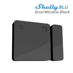 Door-Window-back.jpg