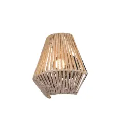 R25991126