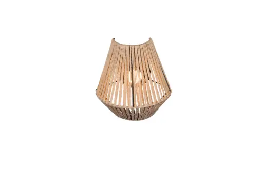 R25991126_5