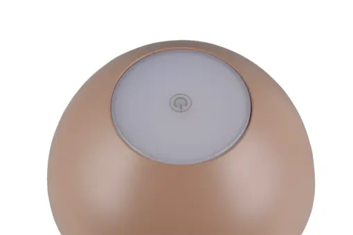 R54106165_4