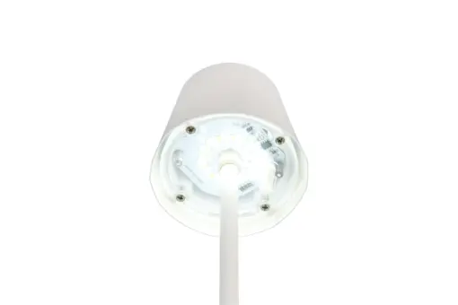 R55961131_4