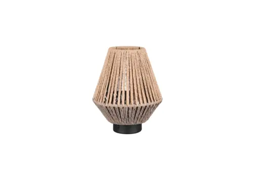 R55991126_3
