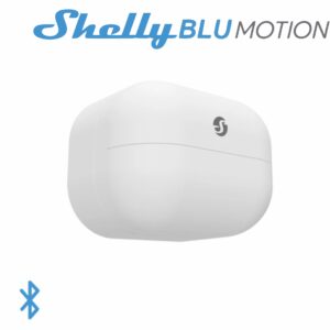 SHELLY-BLU-MOTION.jpg