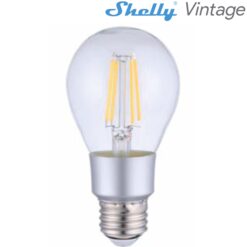 SHELLYVINTAGEA60.jpg