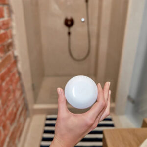 Shelly flood | Shelly flood – EAN 3800235262245