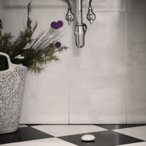 Shelly flood | Shelly flood – EAN 3800235262245