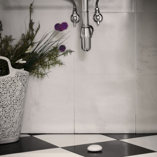 Shelly flood | Shelly flood – EAN 3800235262245