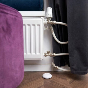 Shelly flood | Shelly flood – EAN 3800235262245