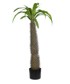 GloboStar® Artificial Garden PACHYPODIUM LAMEREI PALM TREE 20129 Τεχνητό Διακοσμητικό Φυτό Φοίνικας της Μαγαδασκάρης Υ105cm