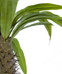 GloboStar® Artificial Garden PACHYPODIUM LAMEREI PALM TREE 20129 Τεχνητό Διακοσμητικό Φυτό Φοίνικας της Μαγαδασκάρης Υ105cm