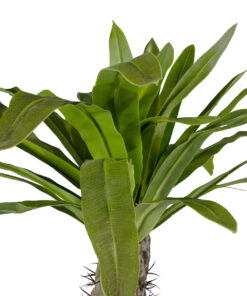 GloboStar® Artificial Garden PACHYPODIUM LAMEREI PALM TREE 20130 Τεχνητό Διακοσμητικό Φυτό Φοίνικας της Μαγαδασκάρης Υ175cm