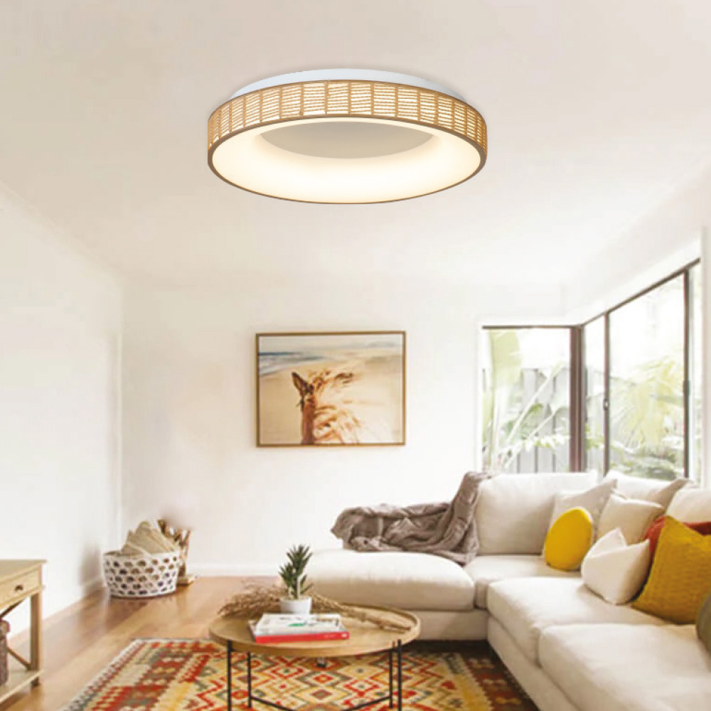 Inlight Πλαφονιέρα Οροφής LED από σχοινί 3CCT, 25W D:50×9,5cm (42042)