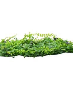 GLOBOSTAR® PEPPEROMIA 78434 Τεχνητό Πάνελ Φυλλωσιάς / Κάθετος Κήπος Πεπερόμια & Ζεβρίνα – Πράσινο – Μ60 x Π9 x Υ40cm