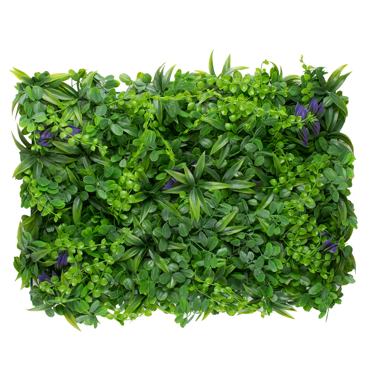 GLOBOSTAR® PEPPEROMIA 78434 Τεχνητό Πάνελ Φυλλωσιάς / Κάθετος Κήπος Πεπερόμια & Ζεβρίνα – Πράσινο – Μ60 x Π9 x Υ40cm