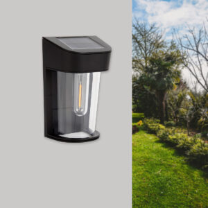 InLight Eagle LED 2W 3000K Outdoor Wall Lamp Black D:13,3cmx8,6cmx5,8cm (80206411S)