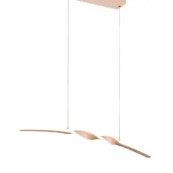 R35791166