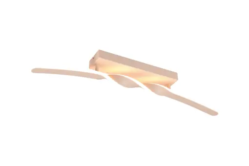 R65791166