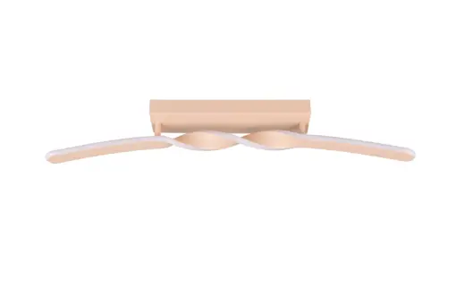 R65791166_4