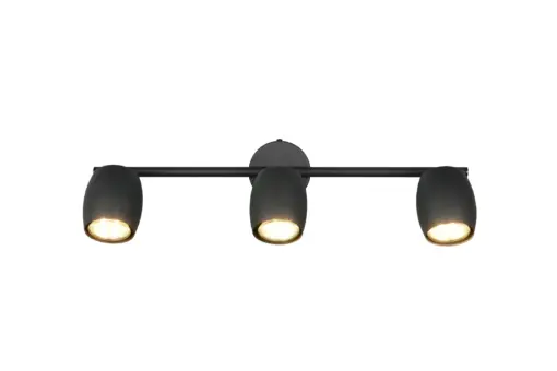 R86263032_1