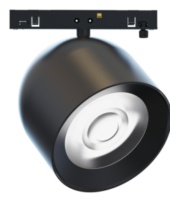 TMEDIO1030.png