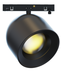 TMEDIO10SUN.png