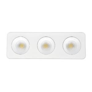 Inlight Downlight Mounted σποτ 3*8W 3CCT σε λευκή απόχρωση (X00280W)