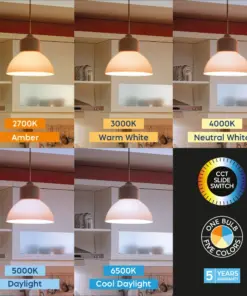 Λάμπα led Premium E27 Α65 13,5w 1520lm 5cct Braytron – BA13-01380