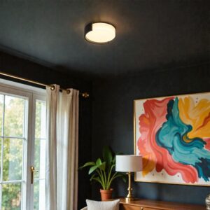 V-TAC 24188 LED Πλαφονίερα Οροφής Στρογγυλή Φ450 48W 5760lm Dimmable CCT με Τηλεχειριστήριο & Bluetooth Μαύρη