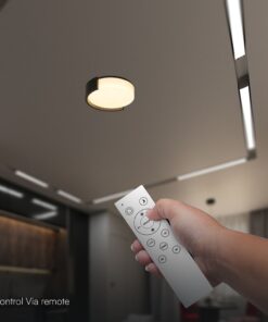 V-TAC 24188 LED Πλαφονίερα Οροφής Στρογγυλή Φ450 48W 5760lm Dimmable CCT με Τηλεχειριστήριο & Bluetooth Μαύρη