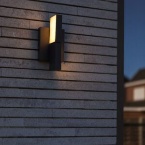 TWISTO Wall Dark Grey 3000K-4000K Architectural Modern Moveable Head Lutec – 1-T5116303118