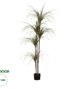 GloboStar® Artificial Garden DRAGON BLOOD TREE 20016 - Τεχνητό Διακοσμητικό Φυτό Δράκαινα Υ180cm