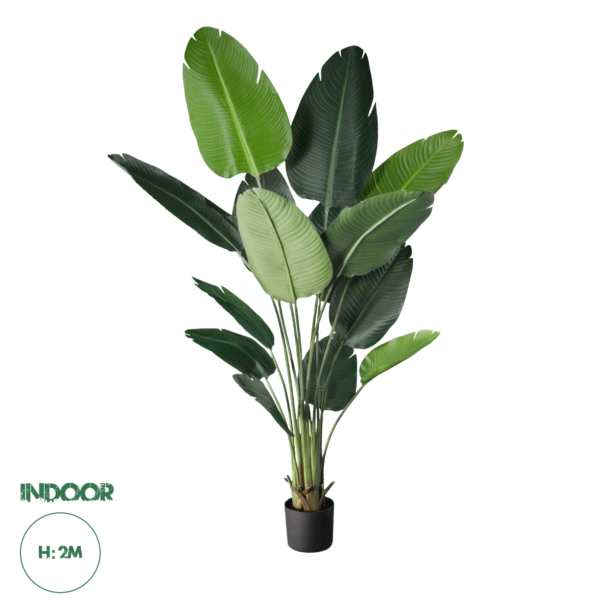 GloboStar® Artificial Garden STRELITZIA 20027 Τεχνητό Διακοσμητικό Φυτό Στρελίτσια - Πουλί του Παραδείσου Υ200cm
