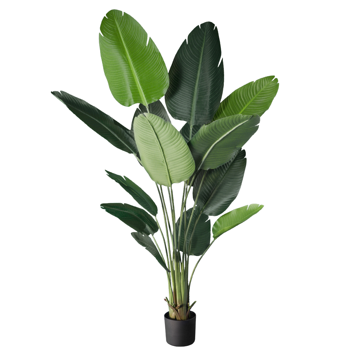 GloboStar® Artificial Garden STRELITZIA 20027 Τεχνητό Διακοσμητικό Φυτό Στρελίτσια - Πουλί του Παραδείσου Υ200cm - Image 2